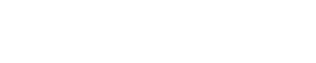 BisbeeBaby Logo in white.